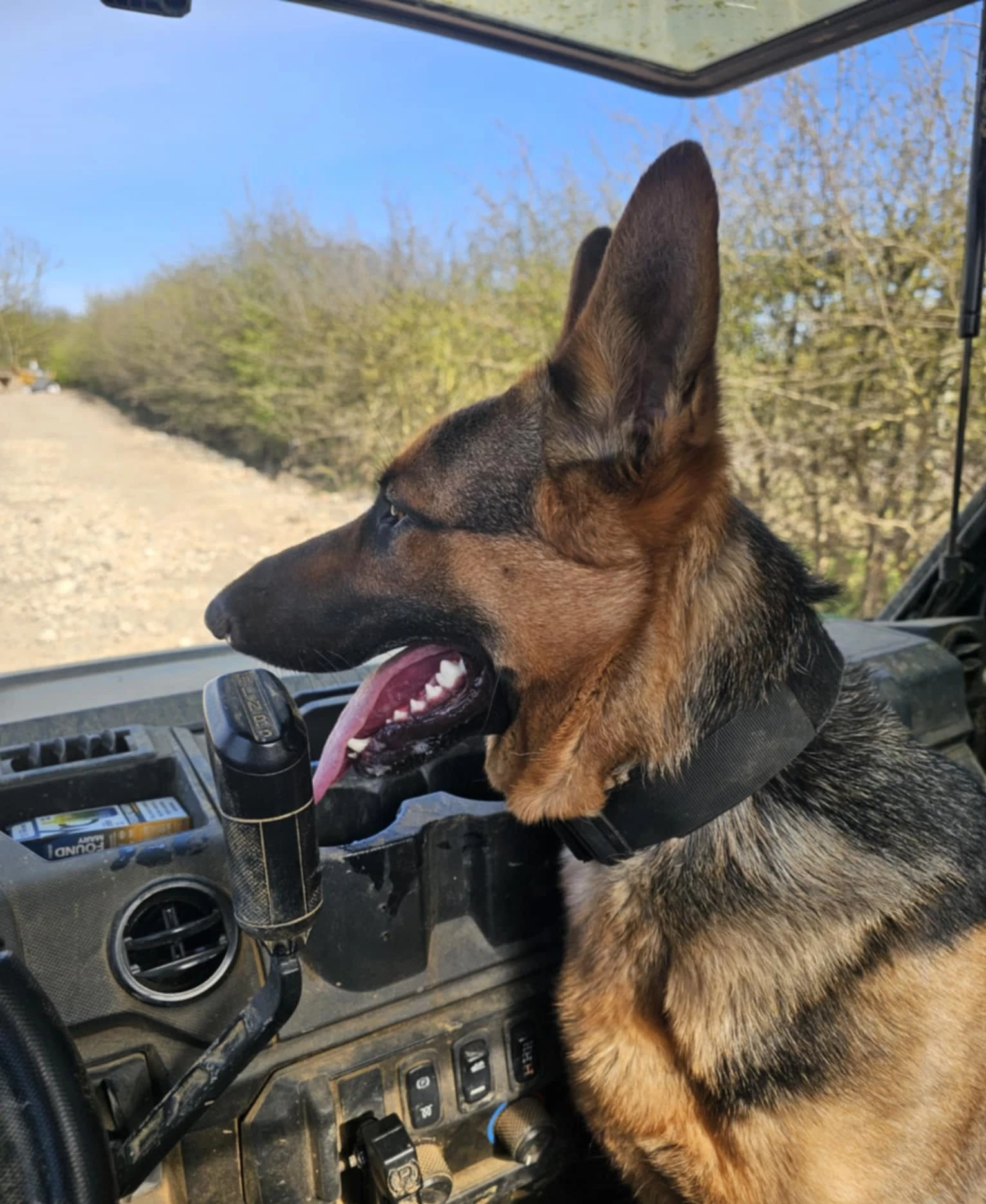 Industrial Facility K9 Security UK - Professional Dog Handler Guards