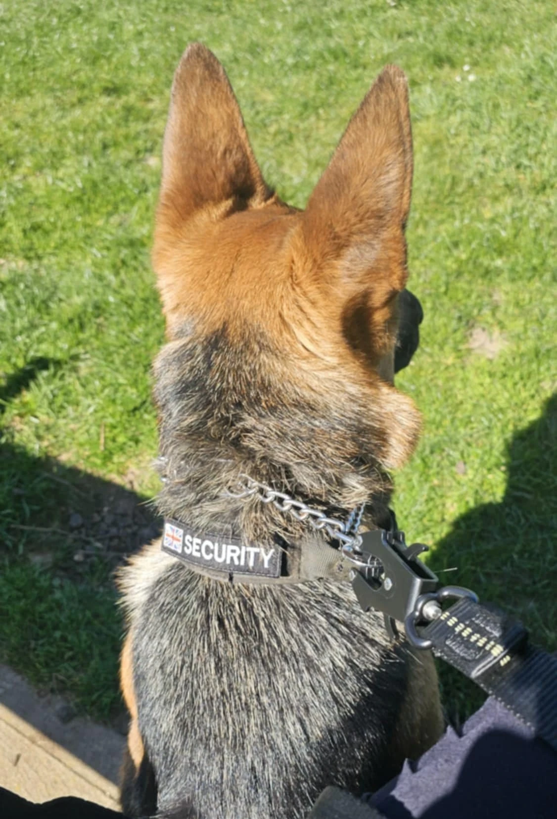 24/7 Emergency K9 Response UK - Professional Dog Handler Security